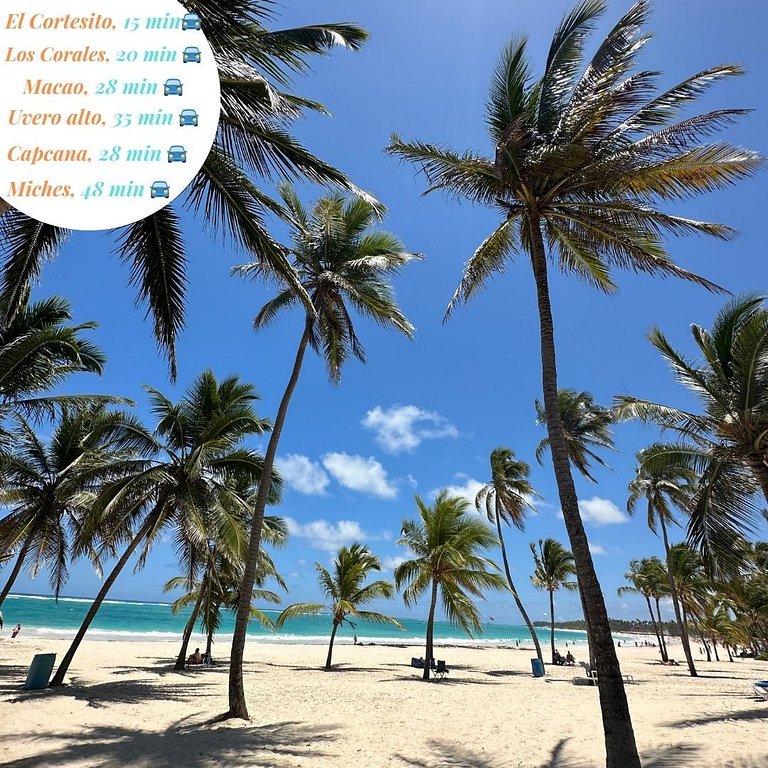 Studio, coworking area, gym, padel and restaurant